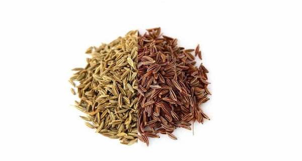 تصویر 3 از خرید زیره سبز طب سنتی + قیمت فروش استثنایی